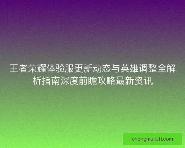 王者荣耀体验服更新动态与英雄调整全解析指南深度前瞻攻略最新资讯